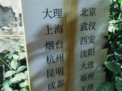 -猫的天空之城概念书店(苏州平江店)