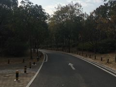 -宝界山林公园