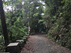-广州市石门国家森林公园