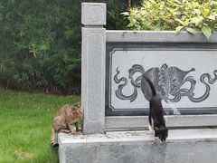-厦门园林博览苑