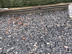 -DGE季风钓虾营地·团建·聚会