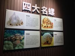 -贝壳王国博物馆