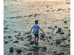 -宝安西湾红树林湿地公园