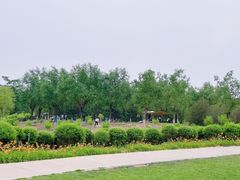 -门城湖公园