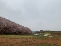 -新纪元大酒店