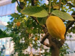 -中国农科院国家农业科技展示园