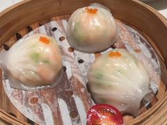 -金牌禄运·点心·啫煲(百信广场店)