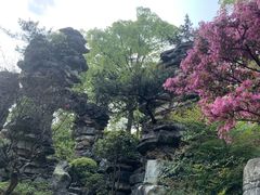 -南山植物园