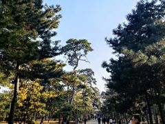 -沈阳市东陵公园
