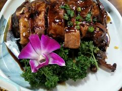 -小小饭店·休闲农庄·安吉松树林里的农家菜