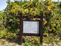 -太湖游船(石公山码头)