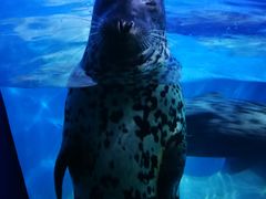 -多彩贵州城极地海洋世界