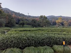 -灵顺寺