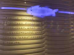 -白鹤梁水下博物馆