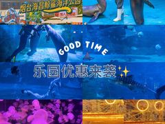 -烟台海昌鲸鲨海洋公园