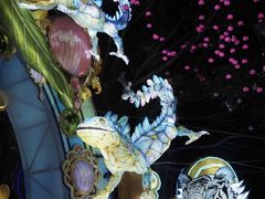 -厦门园林博览苑