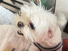 -Tequila Espresso(嘉善路店)