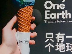 -Dal Cuore 达可芮冰淇淋(陕西北路店)