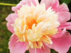 -长春公园(普阳街道)