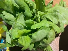 -盡膳口福跷脚牛肉火锅(合生汇购物中心店)