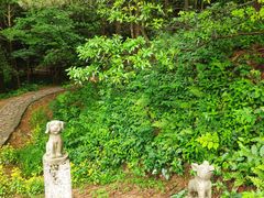 -四明山国家森林公园