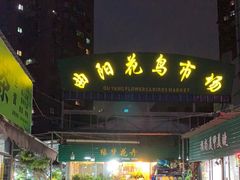 -曲阳花鸟市场(曲阳路店)