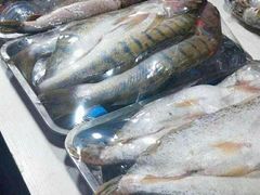 -新疆风味冷水鱼庄(友谊峰路店)