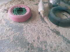 -海合安武汉极地海洋公园