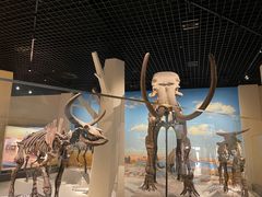 -国家自然博物馆