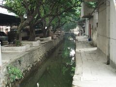 -小洲村