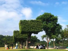 -深圳野生动物园