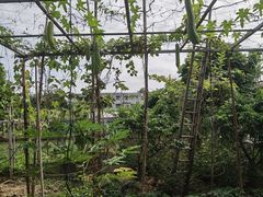-润记农家菜