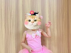 -小银星艺术团(河埒口校区)