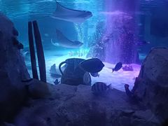 -沈阳海洋探索中心