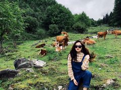 -硗碛藏寨·神木垒景区