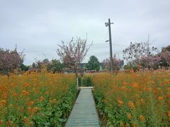 -洪湖家庭农场·团建·露营·会议