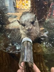 -Zoolung Zoolung动物主题公园(海信广场店)