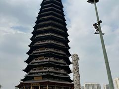 -红梅公园