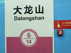 -大龙山(地铁站)