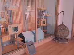 -猫腻·猫咖·撸猫馆(星光大道店)