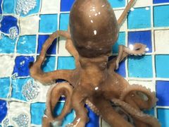 -映像威海·海鲜味道(市区店)