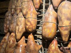 -华夏文旅西安度假区