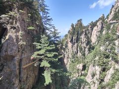 -老君山风景名胜区