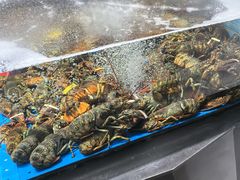 -徐记海鲜·宴会(大唐西市|丰庆店)