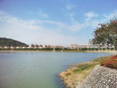 -风云岭森林公园