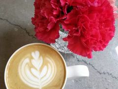 -Nectar One Cafe(勇烈路n1店)