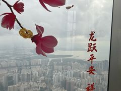 -平安金融中心云际观光层