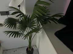 -阳光世纪奥特莱斯店