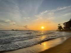 -Ministry of Crab(科伦坡店)