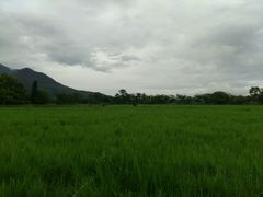 android_upload_pic-瑞穗牧场